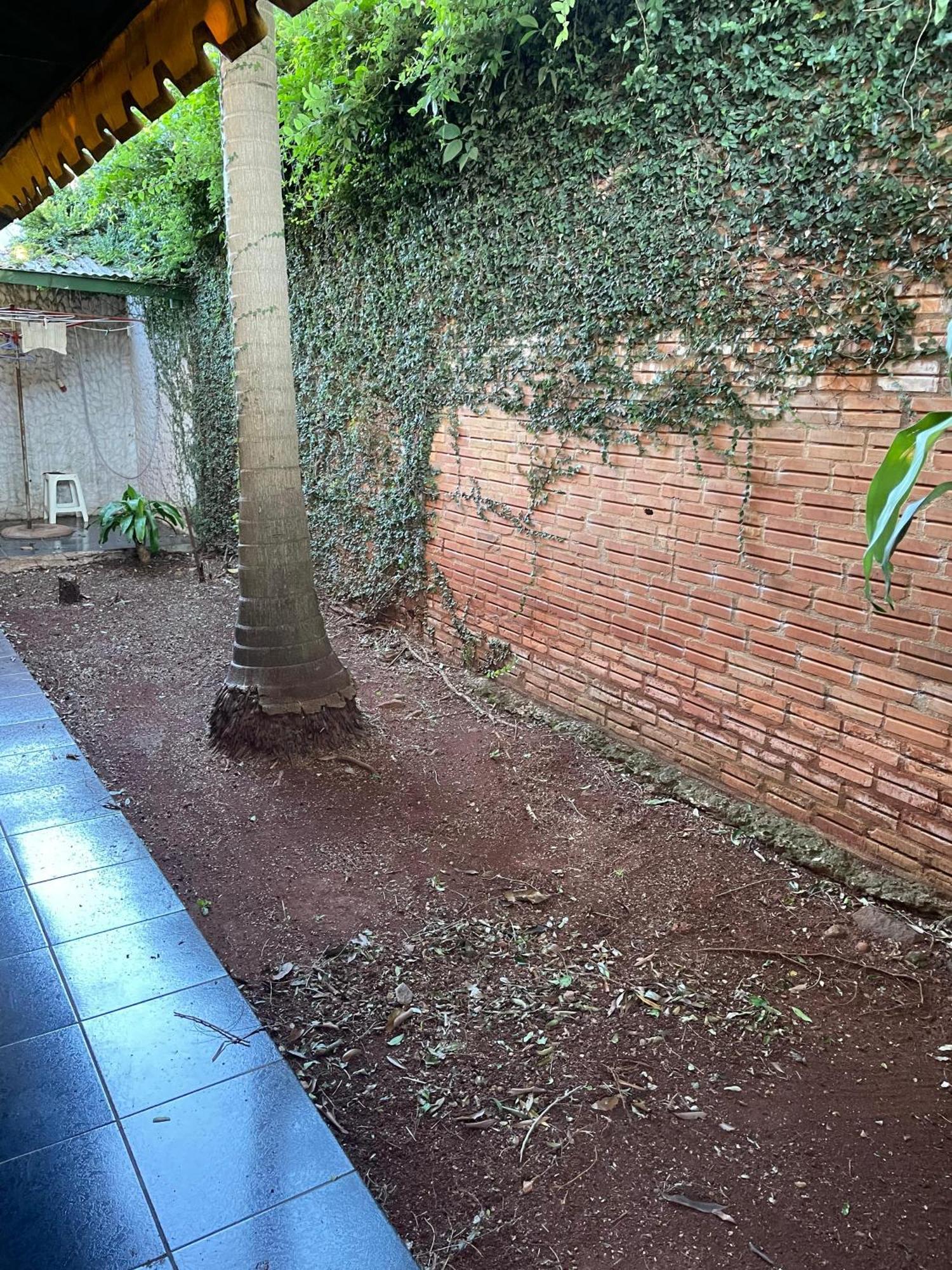 ¡Tucanes Iguazu! Puerto Iguazú Extérieur photo